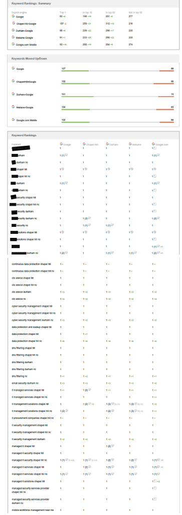 seo results for it company