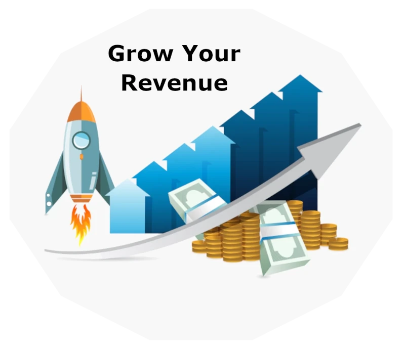 seo-grow-revenue-800